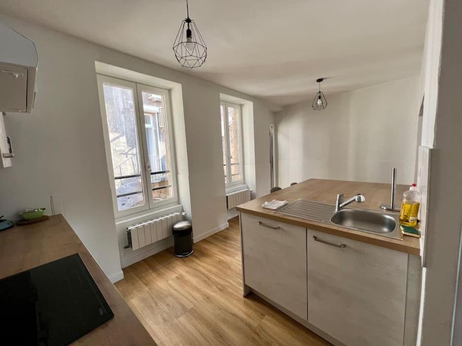 קלרמונט-פרנד Charmant Appartement Plein Centre Avec Parking Augustins B מראה חיצוני תמונה